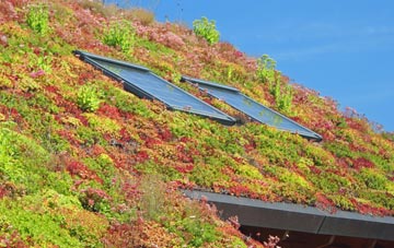 Bryn Newydd living roof systems